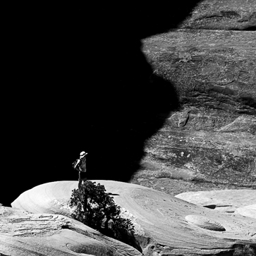 Bild aus dem Arches National Park im Südwesten der USA